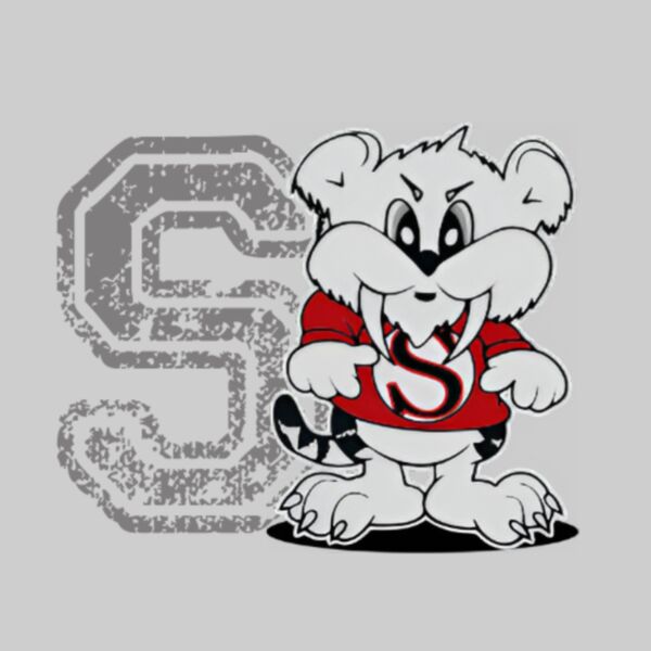 S Logo - Grey Thumbnail